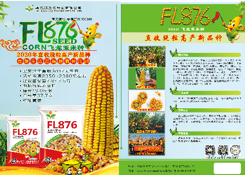 F1876 玉米
