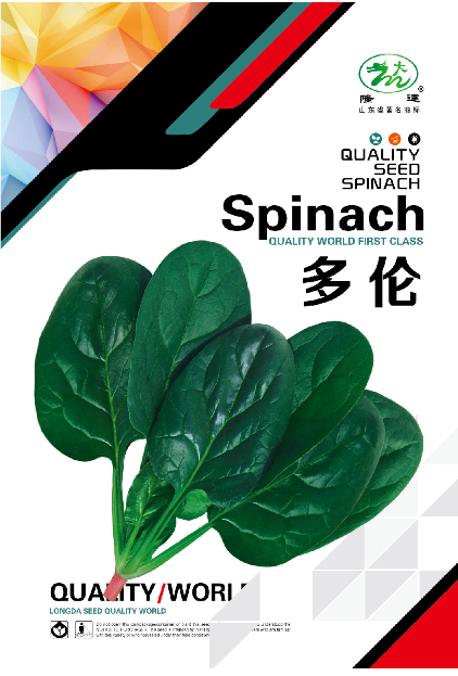 Spinach多伦